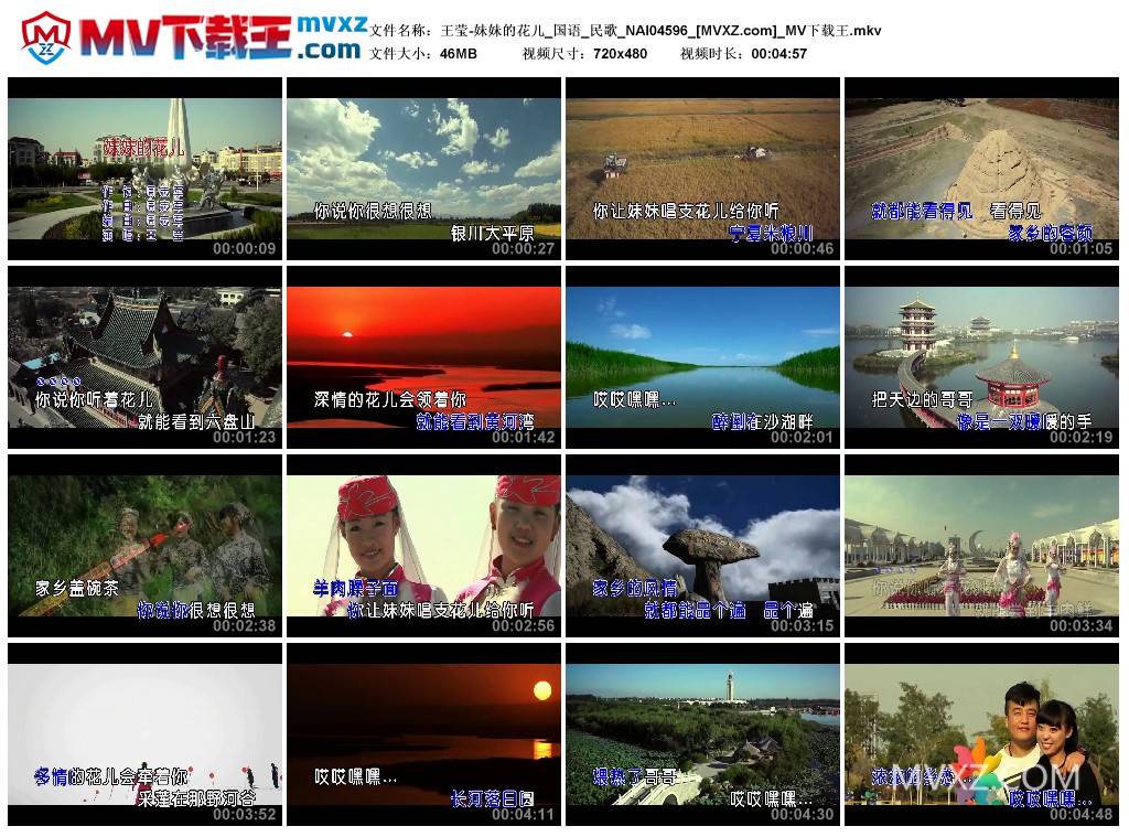 王莹-妹妹的花儿_国语_民歌_NAI04596